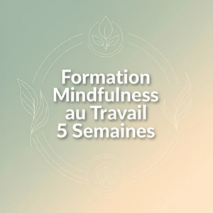 Formation Mindfulness au Travail 5 Semaines