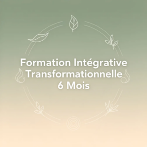 Formation Intégrative Transformationnelle 6 Mois